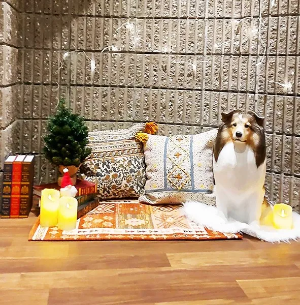 撮影スポット